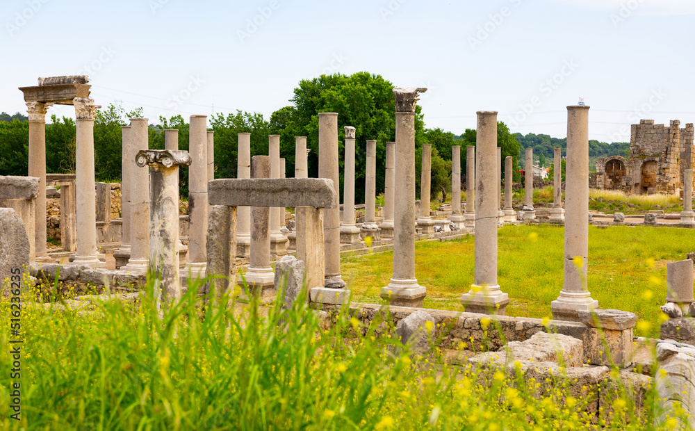 View of remains of stone Ionic columns of Agora in ancient Greek settlement of Perga in Anatolia on spring day. Historical sights and archaeological sites of Turkey