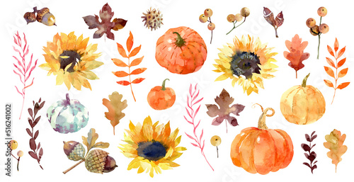 Watercolor autumn set: pumpkins and plants