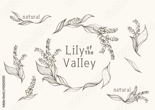 Lily of Valley frames