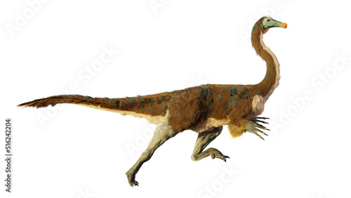 Gallimimus  theropod dinosaur from the Late Cretaceous period  isolated on white background 