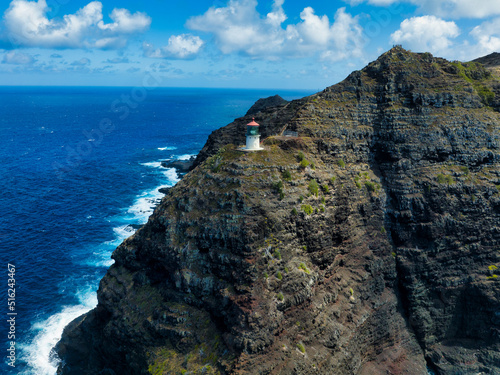 Hawaii Water Coastline Drone View photo