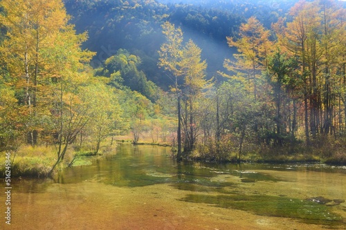 Autumn scenery in Kamikochi  Nagano