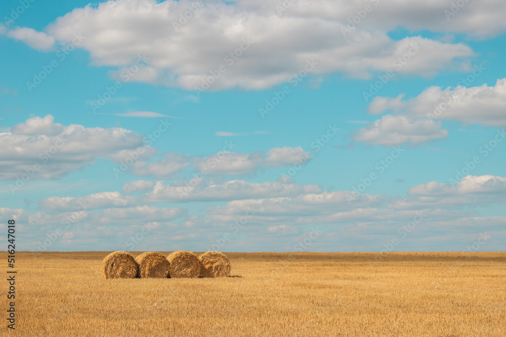 Beautiful landscape with bales of straw in sunny summer