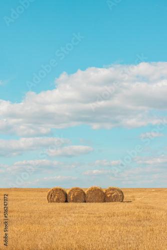Beautiful landscape with bales of straw in sunny summer