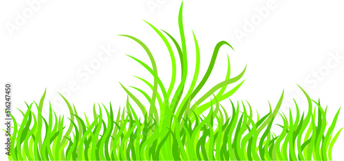 Vector grass blowing in wind isolated over white.
