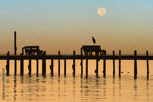 Alabama Moon