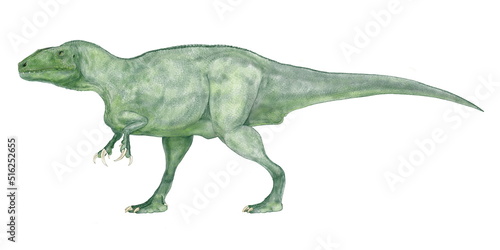 マイプ　マクロソラックス(悪霊　大きな胴体）の口を閉じたタイプの画像 2020年3月南米アルゼンチンの白亜紀後期の地層から部分骨格が発見された肉食恐竜のオリジナル復元画像。推定全長は9から10メートル体幅は2メートルと広く、南米での当時の食物連鎖の頂点にいた肉食恐竜であると推定されている。この恐竜の骨格の化石はまだ継続して調査されている。 © Mineo