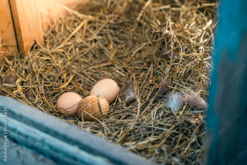 Homemade chicken eggs lie in a straw nest with a wooden egg