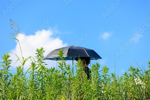 夏の日に日傘をさして草の道を歩く人