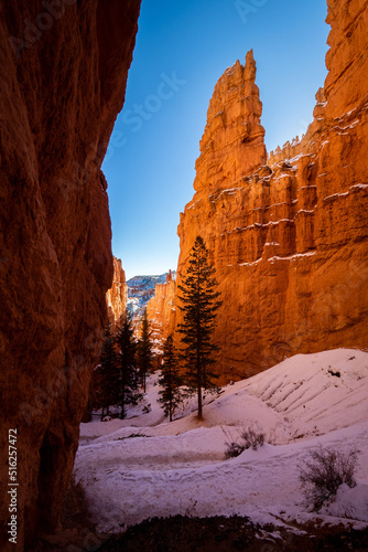 Bryce Canyon in winter with snow
