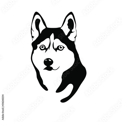 Siberian husky minimal design.
Vector dog head logo icon illustration on white background.