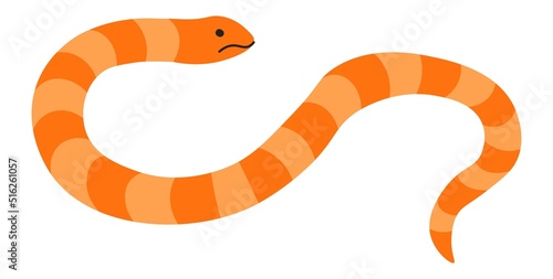 Snake reptile animal, amphibian creature vector