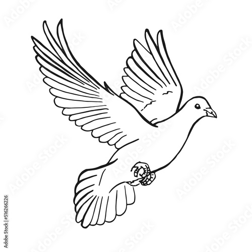 Hand drawn dove outline. Line art style isolated on white background.