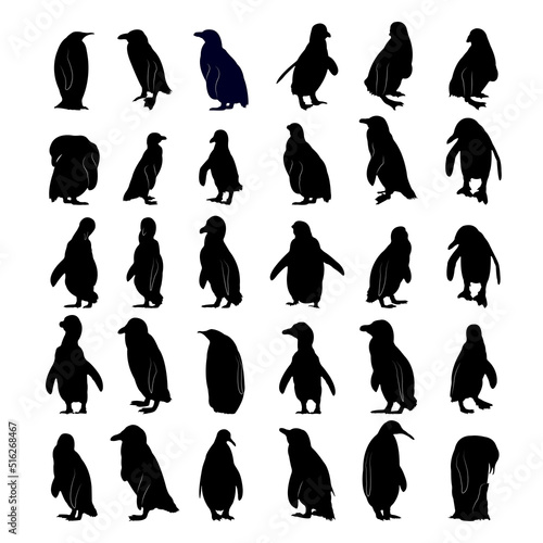 Fototapeta Collection of black silhouettes penguins.
