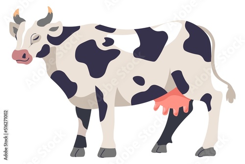 Cow cattle, farming and agriculture, breeding