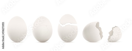 Chicken eggs with whole and cracked shell, realistic mockup vector isolated.