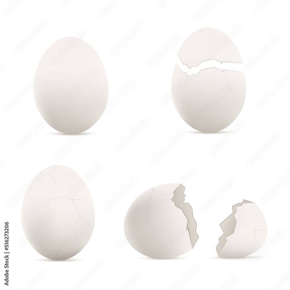 Cracked and whole blank eggs template, realistic vector illustration isolated.