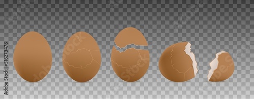 Cracked farm chicken egg in 3d vector illustration, hatching chick stages