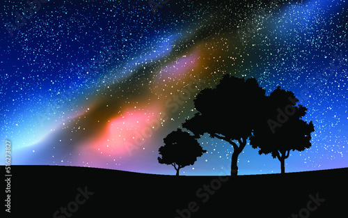 trees and night sky with milky way