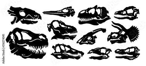 Fossil dinosaur silhouette. Dino skull with teeth. Bone skeleton print graphic. Dead ancient predator. Dinosaur Diplodocus Velociraptor Stegosaurus Triceratops Allosaurus Parasaurolophus Tyrannosaurus