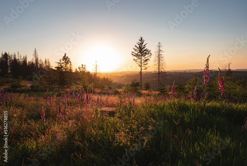Sonnenuntergang im Ebbegebirge
