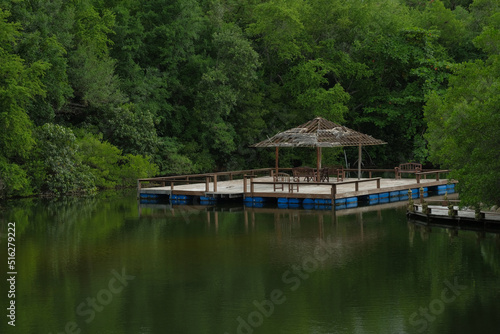 Ruin old houseboat raft floating on the pond is make me reminiscing about when I was a child.