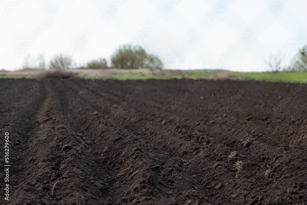 Spring arable land on a farm with black soil, fertile soil of the agro complex Spring arable land on a farm with black soil, fertile soil of the agro complex