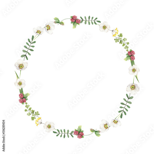 Watercolor wild floral wreath illustration isolated on white background. Field flowers, herbs and berries round frame. Holiday summer design for poster, print, greeting card, invitation
