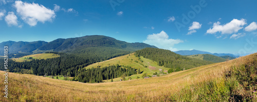 Mountain village. Summer country landscape with fir forest on slope (Carpathians, Ukraine).