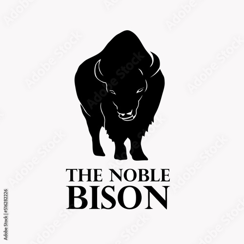 american bison illustration