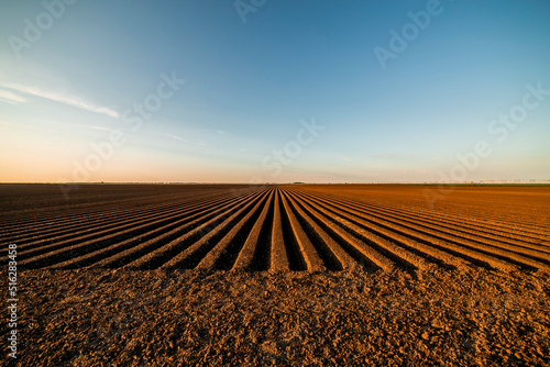 Agricultural land under blue sky at sunset photo