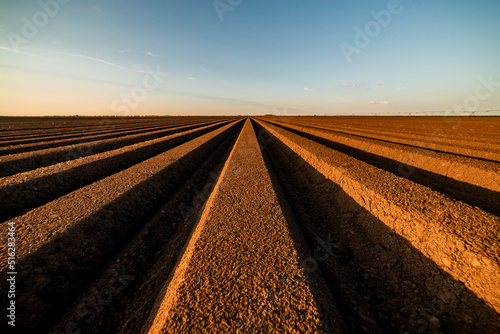 Rows of arable agricultural land under blue sky