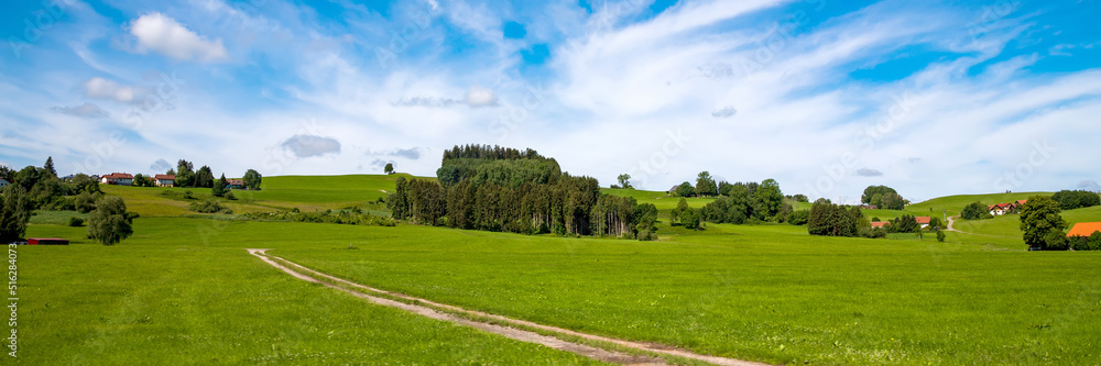 Panoramic view of green countryside and country road