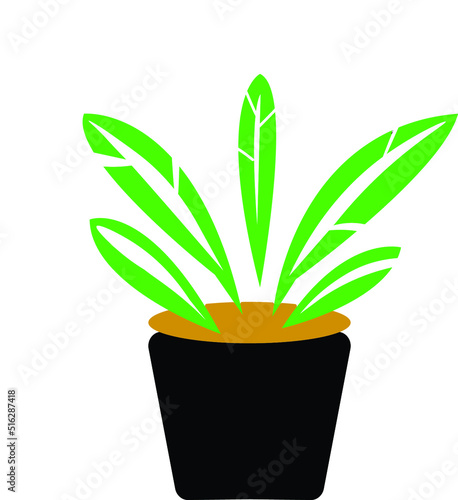 vector illustration of green grass in a pot 