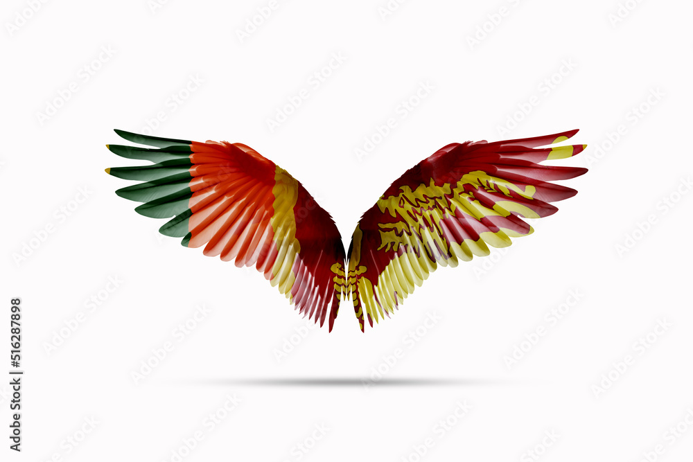 Sri Lanka flag colored wings Isolated on white background, double exposure style. cutting path Sri Lanka flag colored wings Isolated on white background, double exposure style. cutting path