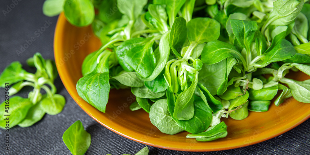 mache salad green corn leaves mung bean lettuce fresh healthy meal food snack diet on the table copy space food background keto or paleo diet veggie vegan or vegetarian food no meat mache salad green corn leaves mung bean lettuce fresh healthy meal food snack diet on the table copy space food background keto or paleo diet veggie vegan or vegetarian food no meat