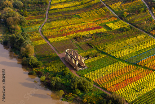 Mosel Senheim Detail photo