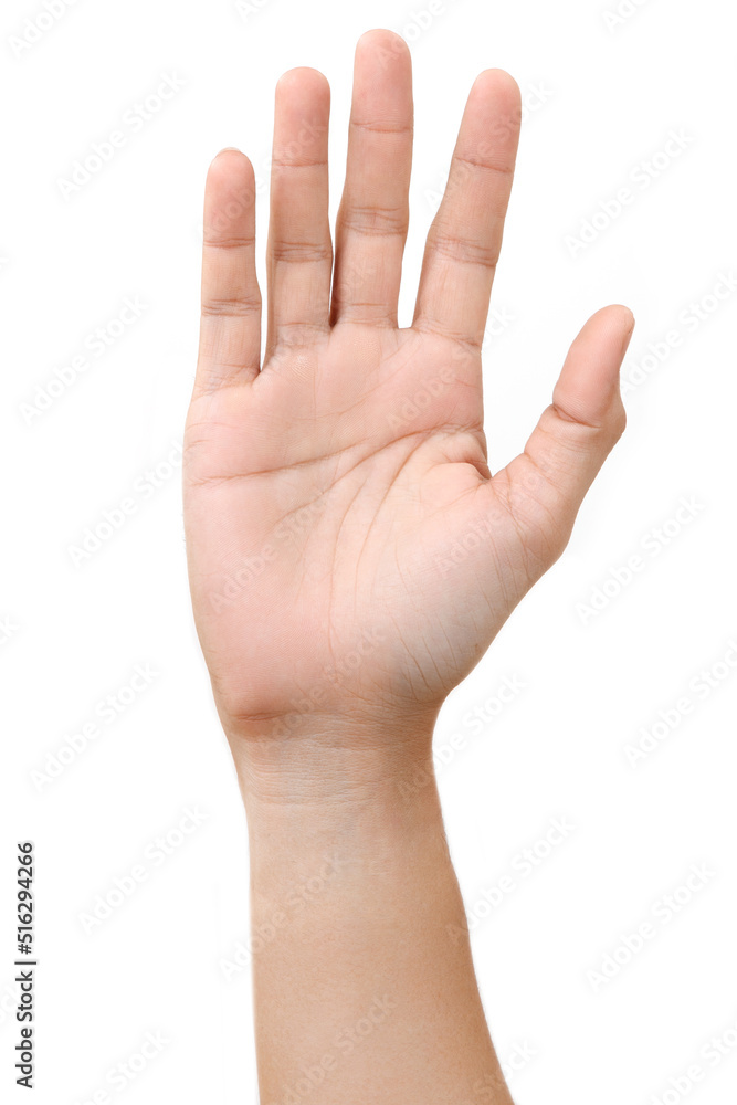 Male asian hand gestures isolated over the white background. Male asian hand gestures isolated over the white background.
