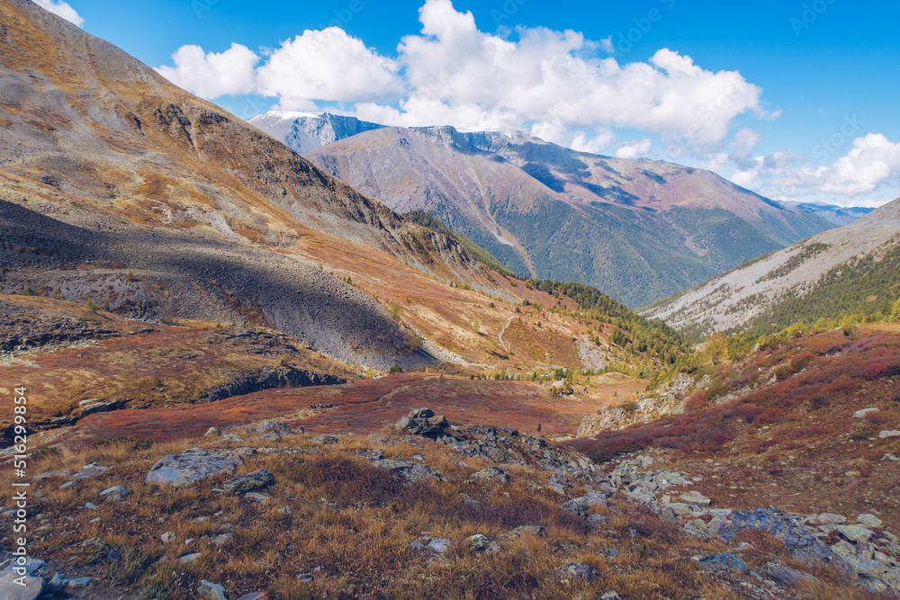 Picturesque mountain valley scenic view. Marvelous golden autumn colors mountain range. Altai mountains.