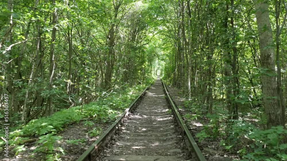 a railway in the spring forest. Tunnel of Love, green trees and the railroad a railway in the spring forest. Tunnel of Love, green trees and the railroad