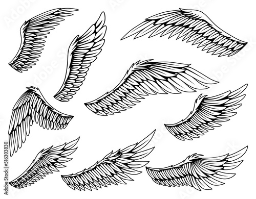 Collection of vintage heraldic wings sketch. Monochrome stylized birds wings. Hand drawn contoured stiker wing in open position. Design elements in coloring style
