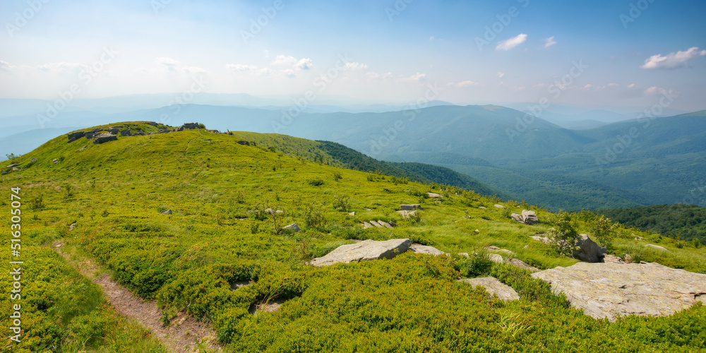 Obraz premium trail down the grassy hill. stones on the green hillside meadow. summer vacation in mountains. sunny afternoon weather with fluffy clouds on the sky