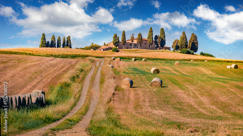 Sunny summer view of wheat harvest in Italy. Bright morning scene iof scene of Italian countryside with old country road. Traveling concept background. photo