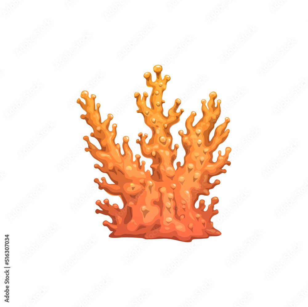 Cartoon coral branch, underwater vector plant with pimples on orange branches. Sea reef object, undersea tropical water life, ocean coral marine flora isolated design element