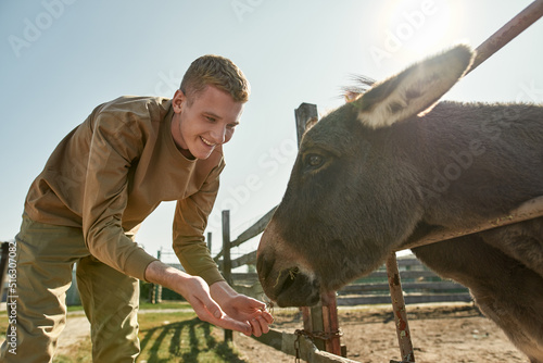Murais de parede Smiling caucasian teenage guy feed donkey on farm