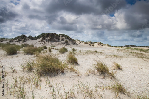 sand dunes in the desert