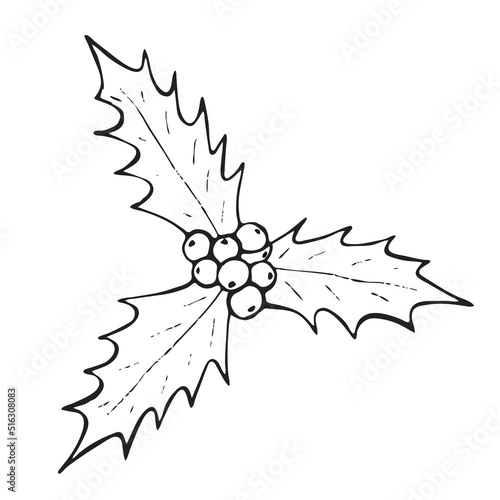 Black and white vector sketch of traditional Christmas Holly berry plant decoration