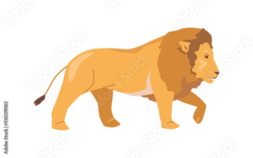 Lion african animal isolated flat cartoon wild brave and strong jungle animal with mane  side view. Vector illustration of walking lion with long tail  leo symbol