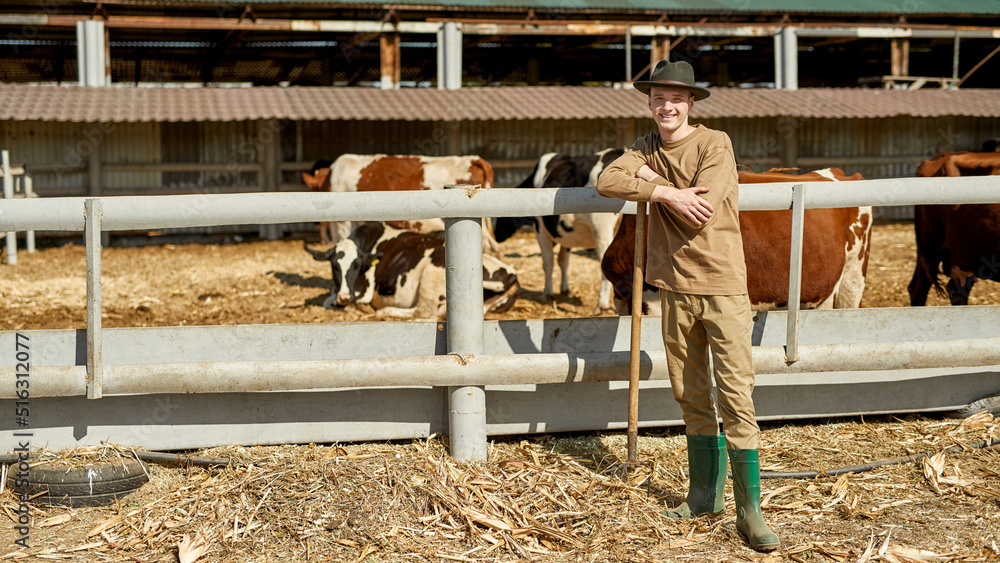 Smiling male farmer with rake near herd of cows Smiling male farmer with rake near herd of cows
