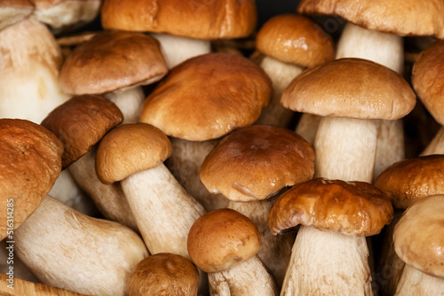 Group of harvested boletus or porcini mushrooms close up background